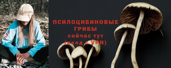 кристаллы Кодинск