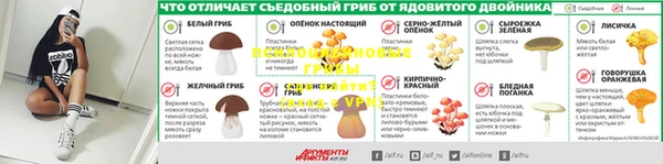 дурь Козловка
