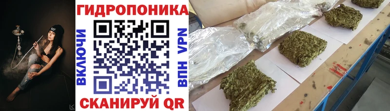 Шишки марихуана ГИДРОПОН  Купить закладки  Полярный 